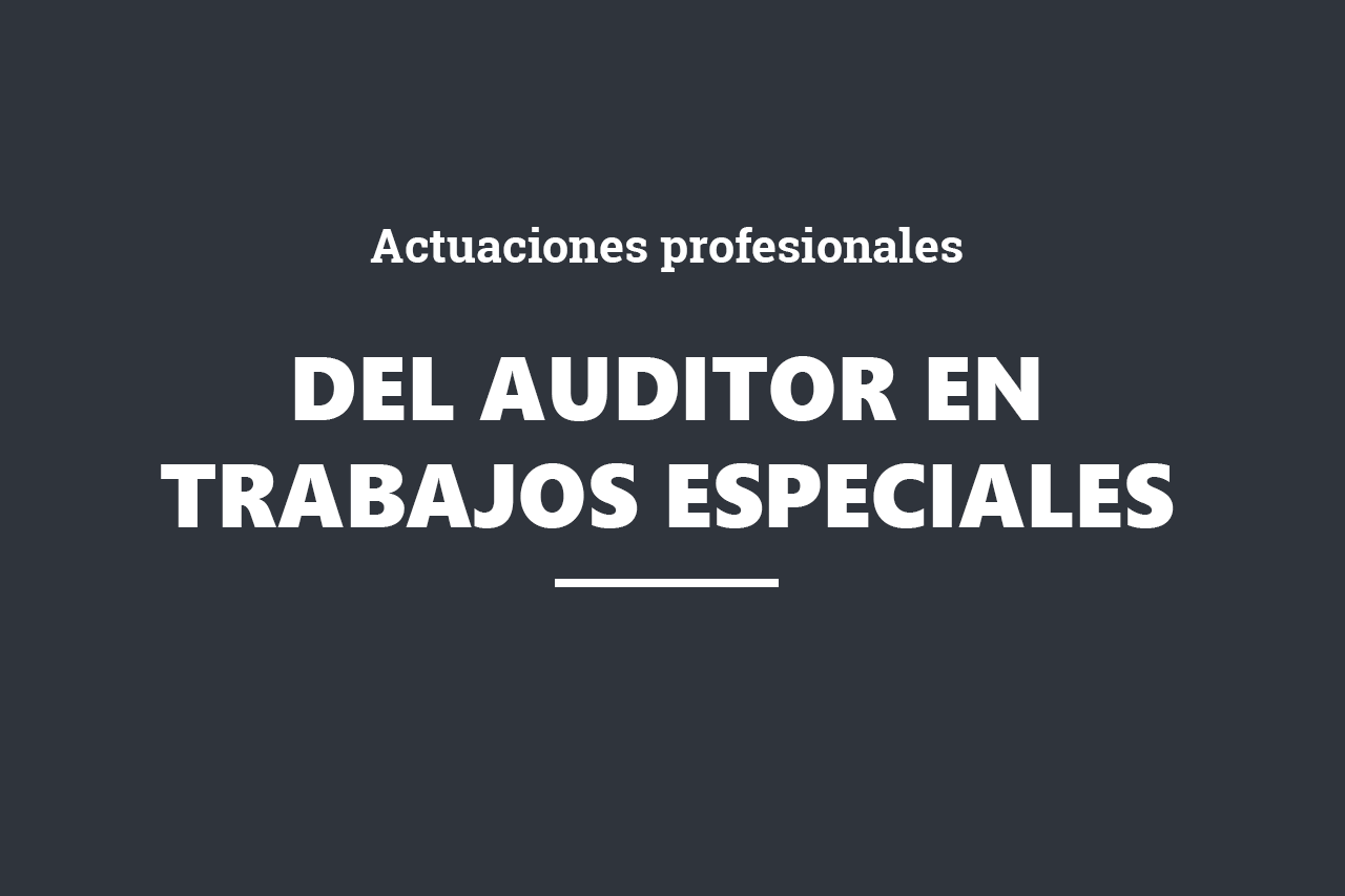 online_auditor trabajos especiales
