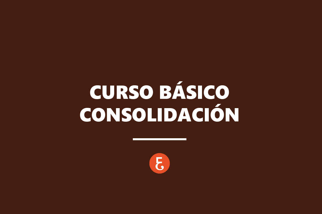 CONSOLIDACION BASICO