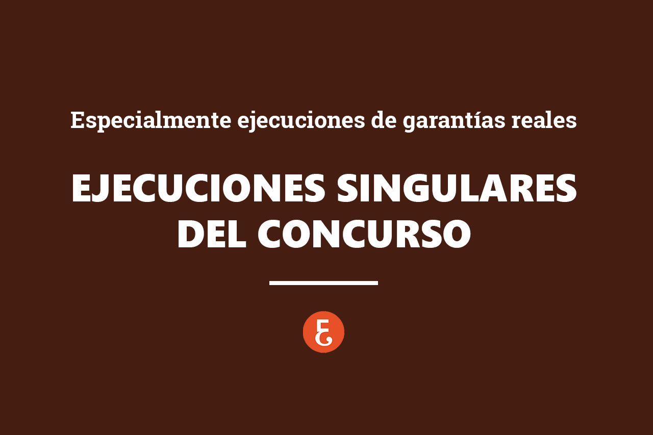 EJECUCIONES SINGULARES EJECUCIONES SINGULARES