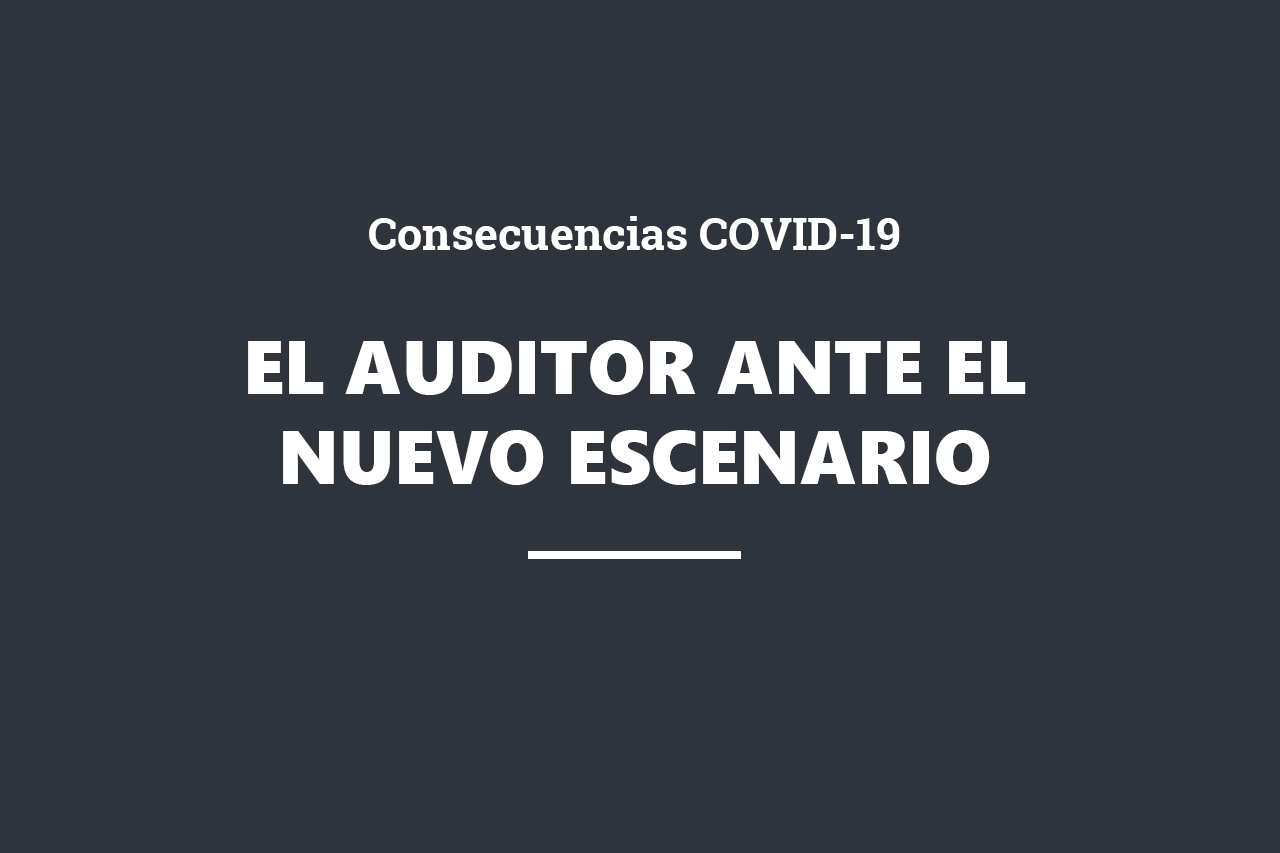 cabecera web_auditor nuevo escenario_2020
