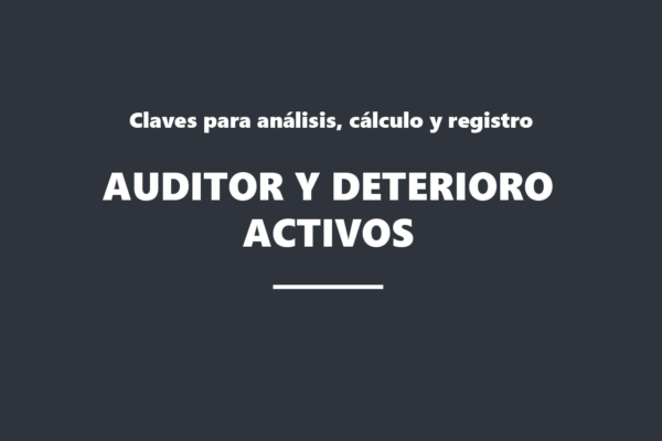 Auditor y Deterioro Activos