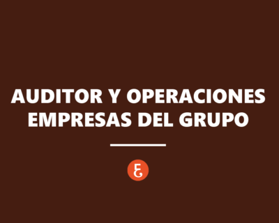 El auditor ante las operaciones entre empresas del grupo