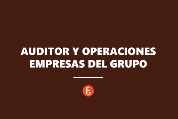 Auditor Emp Grupo