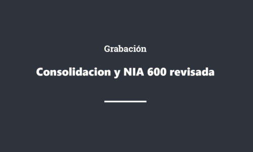 Grabación Consolidacion y NIA 600 revisada