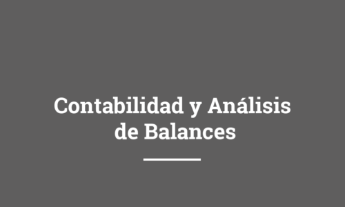 Programa Online Contabilidad y Análisis de Balances