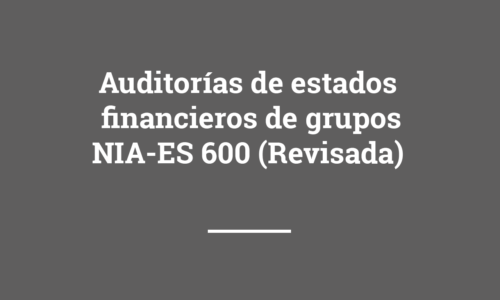 Curso online: Auditorías de estados financieros de grupos – NIA-ES 600 (Revisada)