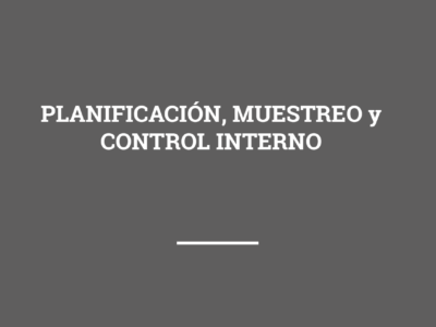 PLANIFICACIÓN, MUESTREO y CONTROL INTERNO