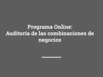 Programa Online: Auditoría de las combinaciones de negocio